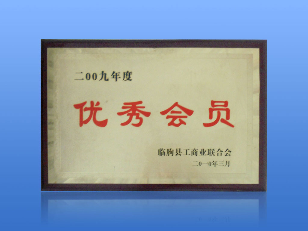 工商業(yè)聯(lián)合會優(yōu)秀會員